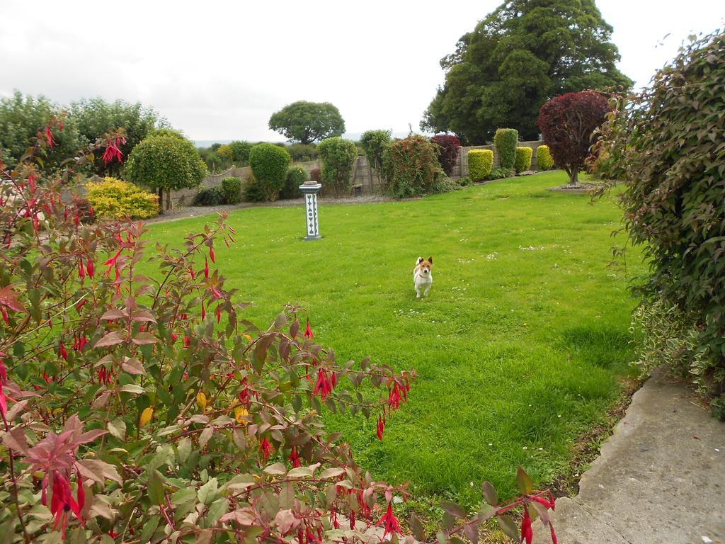 Castlehaven Villa Donaghmore  Exterior foto