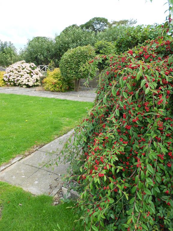 Castlehaven Villa Donaghmore  Exterior foto